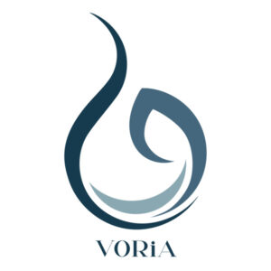 لوگو ترکیبی